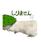 うさぎのすーとココア2（個別スタンプ：5）