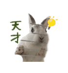 うさぎのすーとココア2（個別スタンプ：18）