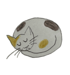 マダムのガーデン（個別スタンプ：5）