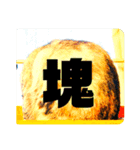 ミミ様の心の言葉2（個別スタンプ：5）