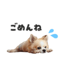 関西育ちの龍之介（個別スタンプ：3）