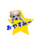 関西育ちの龍之介（個別スタンプ：5）