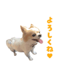 関西育ちの龍之介（個別スタンプ：10）