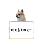 関西育ちの龍之介（個別スタンプ：13）