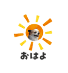 関西育ちの龍之介（個別スタンプ：14）