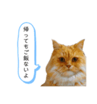 イヴ日記（個別スタンプ：2）