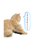 イヴ日記（個別スタンプ：4）