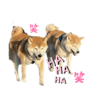 フクロ兄弟（個別スタンプ：4）