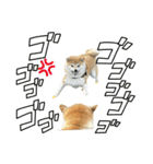 フクロ兄弟（個別スタンプ：5）