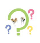 フクロ兄弟（個別スタンプ：6）