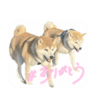 フクロ兄弟（個別スタンプ：9）