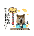 フクロ兄弟（個別スタンプ：10）
