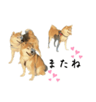フクロ兄弟（個別スタンプ：14）