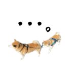 フクロ兄弟（個別スタンプ：23）