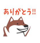 たくさんの柴犬エッディ（個別スタンプ：6）