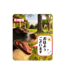 ボーダーコリーの林檎なのは（個別スタンプ：3）
