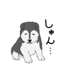 ハスキー犬スタンプ（個別スタンプ：19）