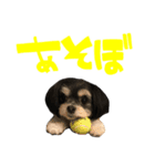 ここなっつ3（個別スタンプ：11）