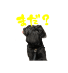 ここなっつ3（個別スタンプ：23）