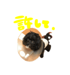 ここなっつ3（個別スタンプ：28）