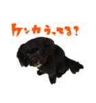 ここなっつ3（個別スタンプ：30）