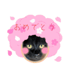 くらねこスタンプ（個別スタンプ：1）