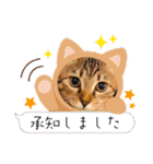 くらねこスタンプ（個別スタンプ：2）