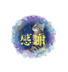 くらねこスタンプ（個別スタンプ：5）