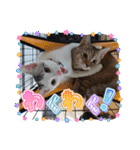 くらねこスタンプ（個別スタンプ：16）