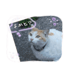 くらねこスタンプ（個別スタンプ：18）