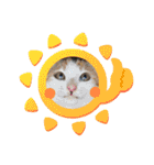 くらねこスタンプ（個別スタンプ：19）