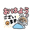 くらねこスタンプ（個別スタンプ：20）