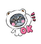 くらねこスタンプ（個別スタンプ：27）
