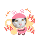 くらねこスタンプ（個別スタンプ：32）