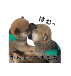 あいたかkids（個別スタンプ：3）