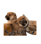 あいたかkids（個別スタンプ：5）