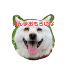 バニラのスタンプ（たまにヤギ）（個別スタンプ：19）