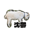 バニラのスタンプ（たまにヤギ）（個別スタンプ：23）