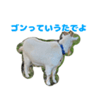 バニラのスタンプ（たまにヤギ）（個別スタンプ：30）