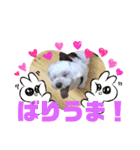 未美＆未美ママ、博多への想い出の旅。（個別スタンプ：5）
