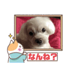 未美＆未美ママ、博多への想い出の旅。（個別スタンプ：9）