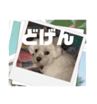 未美＆未美ママ、博多への想い出の旅。（個別スタンプ：13）