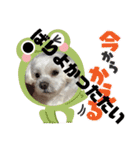 未美＆未美ママ、博多への想い出の旅。（個別スタンプ：14）