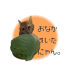 ちゃろスタンピぃ（個別スタンプ：3）