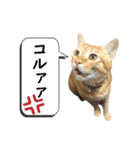 ちゃろスタンピぃ（個別スタンプ：10）