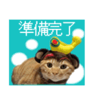 ちゃろスタンピぃ（個別スタンプ：14）