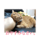 ちゃろスタンピぃ（個別スタンプ：15）