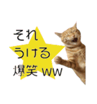 ちゃろスタンピぃ（個別スタンプ：16）