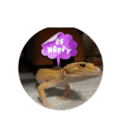 ヒョウモントカゲモドキ (レオパ)のマロン（個別スタンプ：18）