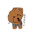 ぺいぺい兄弟（個別スタンプ：10）
